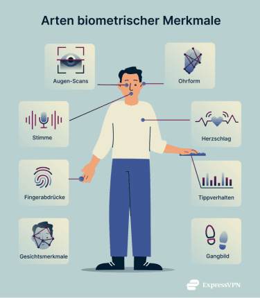 What Is Biometrics Types Of Biometrics 3 1 1 1