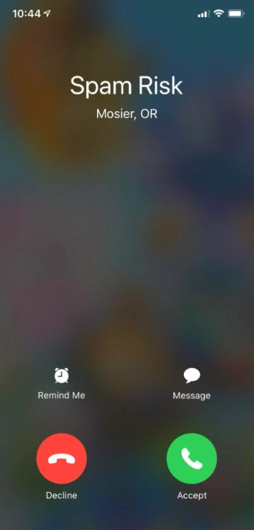 iPhone incoming call screen identifying the caller as a “Spam Risk”.