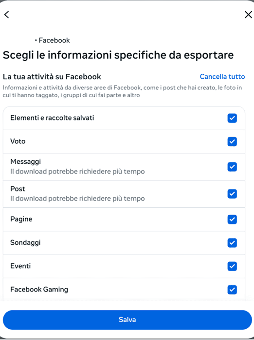 Facebook choosing what activity information to export.