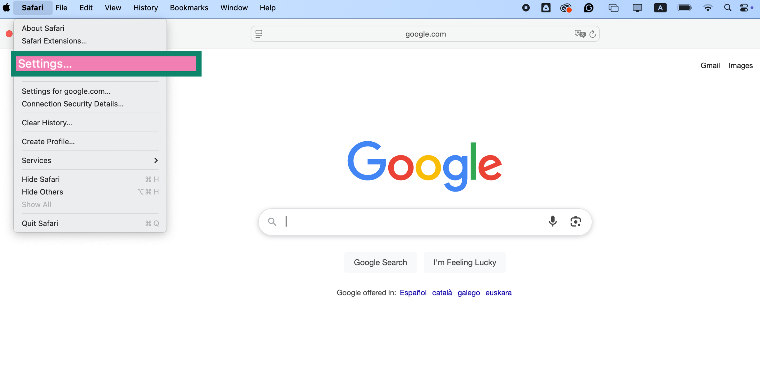 Safari browser with Settings option highlighted on Mac.