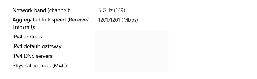 Part of the network properties page, showing the router as the primary DNS server.