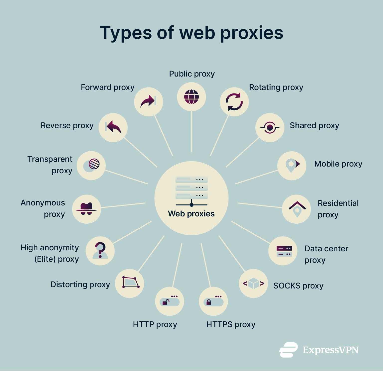 Image showing the different types of web proxy.