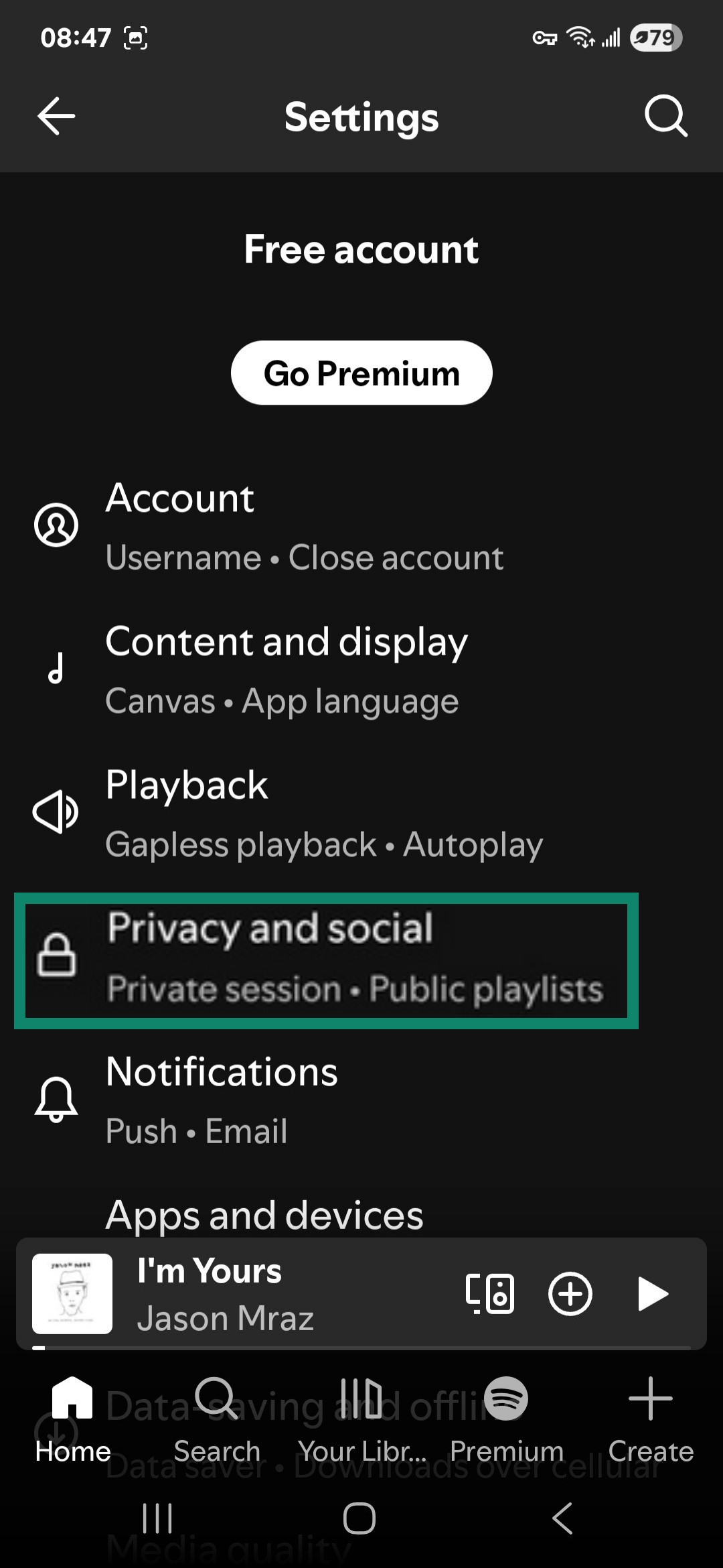 Spotify mobile app Settings and privacy menu with Privacy and social highlighted.