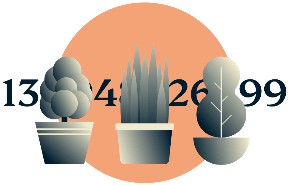 Maschera il tuo indirizzo IP: piante in vaso che nascondono un indirizzo IP.