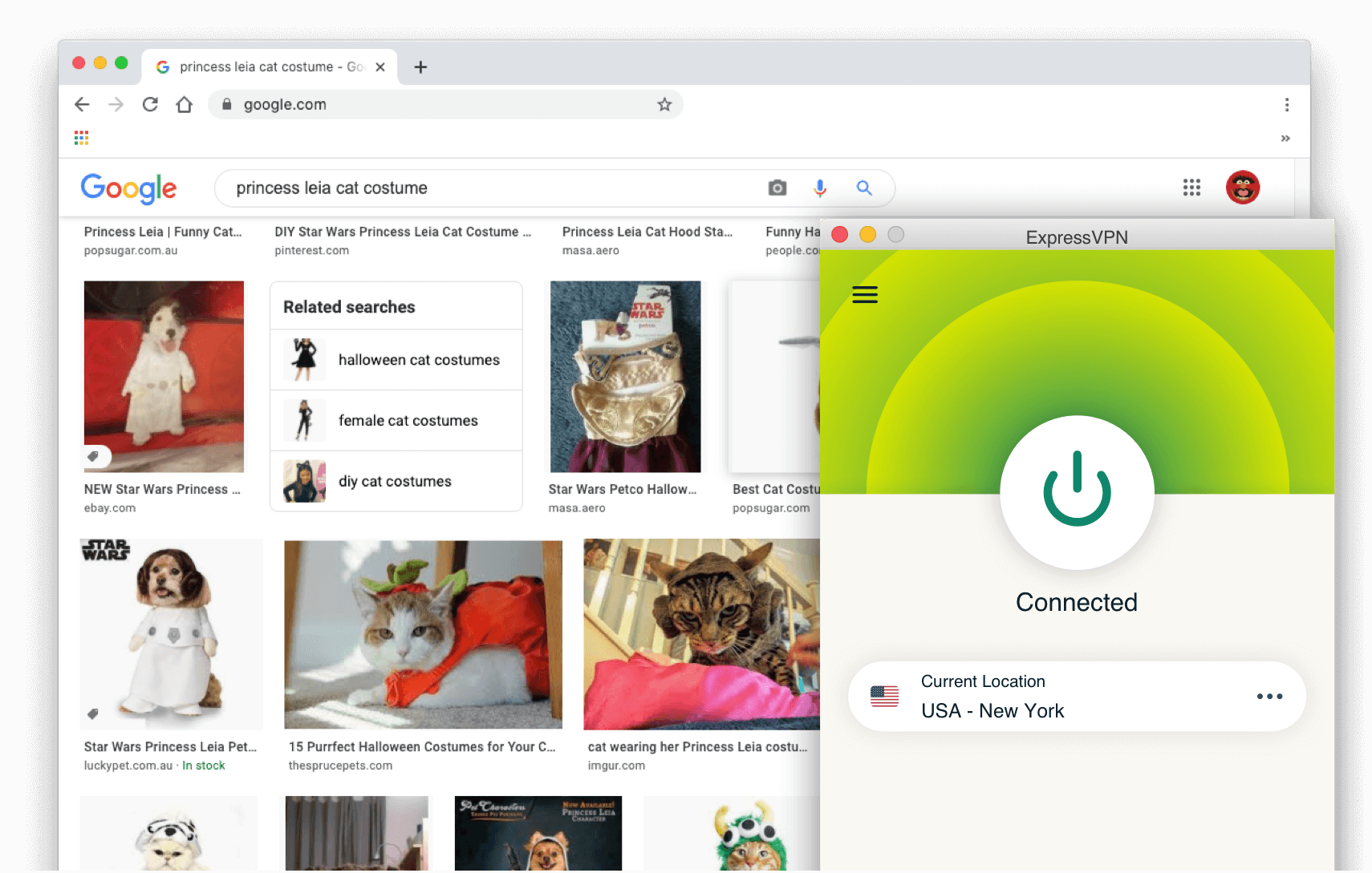 Risultati della ricerca su Google: Principessa Leia costume da gatto con ExpressVPN attivato.