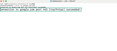 Succeeded results for how to check port availability via the Terminal on macOS.