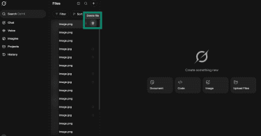 Grok Files page showing an uploaded file with a delete trash icon.