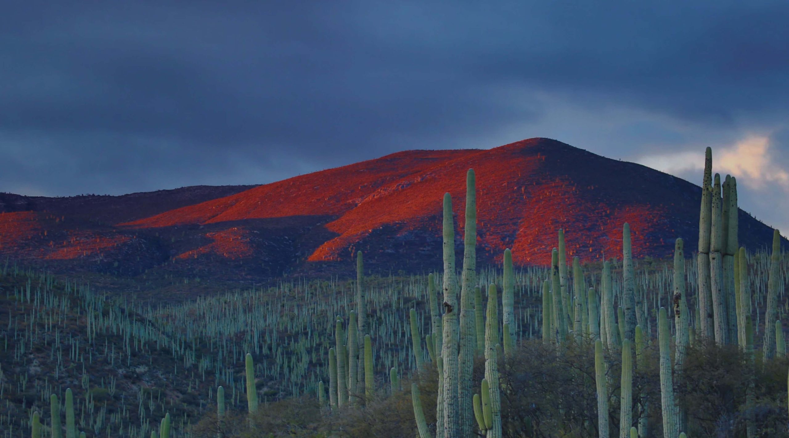 Scarica la migliore VPN per il Messico nel 2025