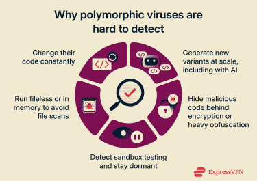 An infographic showing three core capabilities of a polymorphic virus