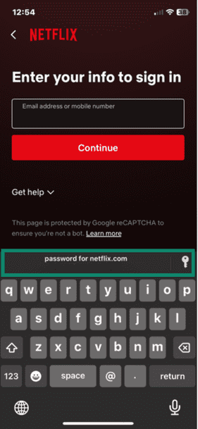 iOS Netflix app open on login page with password login options highlighted