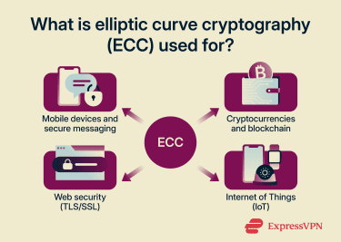 Real-world applications of elliptic curve cryptography.